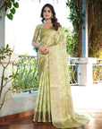 Pista Green Organza Zari Woven Patola Saree