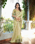 Pista Green Organza Zari Woven Patola Saree