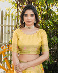 Yellow Organza Zari Woven Patola Saree