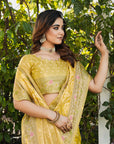 Yellow Organza Zari Woven Patola Saree