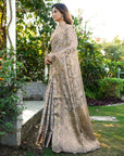 Grey Organza Zari Woven Patola Saree