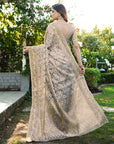Grey Organza Zari Woven Patola Saree