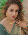 Rupali Bhosle in our Chickoo Pure Tissue Zari Woven Saree with Contrast Weaves