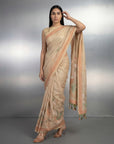 CHICKOO Premium Muga Cotton Saree with Resham Weaving Buttis and Pencil Art Pallu