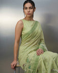 Pista Premium Muga Cotton Saree with Resham Weaving Buttis and Pencil Art Pallu
