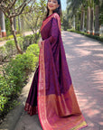 Navy Blue Soft Kashmiri Silk Zari Woven Contrast Saree