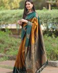 Rashmi in our Gold Soft Silk Floral Border Contrast Zari Woven Saree