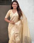 Chickoo Organza Paithani Zari Woven Saree