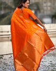 Orange Soft Silk Dual Zari Woven Saree with Peacock Border