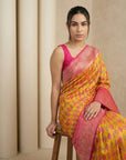 Orange Premium Patola Silk Ikat Meenakari Zari Woven Saree with Contrast Pallu and Brocade Blouse