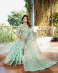 Sky Organza Zari Woven Patola Saree