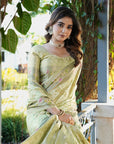 Pista Green Organza Zari Woven Patola Saree