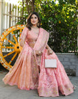 Pink Organza Zari Woven Patola Saree