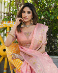 Pink Organza Zari Woven Patola Saree