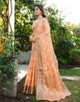 Peach Organza Zari Woven Patola Saree