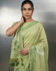 Pista Premium Muga Cotton Saree with Resham Weaving Buttis and Pencil Art Pallu