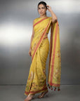 Yellow Premium Muga Cotton Saree with Resham Weaving Buttis and Pencil Art Pallu