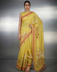 Yellow Premium Muga Cotton Saree with Resham Weaving Buttis and Pencil Art Pallu