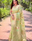 Mint Green Organza Meenakari Floral Jaal Zari Woven Saree