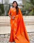 Orange Soft Silk Dual Zari Woven Saree with Nandi Border