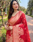 Red Organza Floral Rainbow Zari Woven Unique Saree with Unstitched Blouse