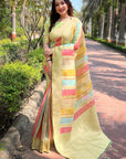 Mint Green Organza Multicolor Latest Zari Woven Saree