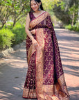 Dark Maroon Banarasi Jaal Katan Silk Zari Woven Saree