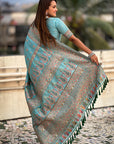 Sky Blue Pashmina Kashmiri Silk Zari Woven Saree