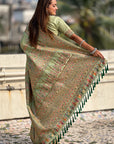 Pistachio Green Pashmina Kashmiri Silk Zari Woven Saree