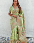 Pistachio Green Pashmina Kashmiri Silk Zari Woven Saree