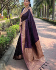 Wine Banarasi Katan Silk Zari Woven Saree