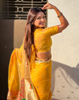 Yellow Organza Swan Paithani Silk Zari Woven Saree